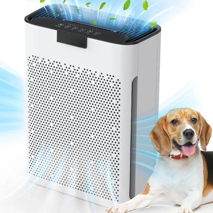 Air Purifiers for Home Large Room 2000 Ft² - MOOKA H13 HEPA